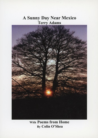 A Sunny Day Near Mexico, Terry Adams With Poems From Home By Colin O’Shea.